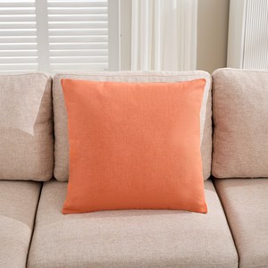 자시스 모던 심플 무지 쿠션 빵빵 솜 포함