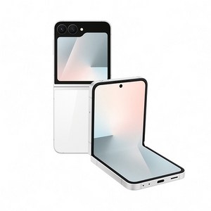 삼성전자 갤럭시 Z플립7 FE