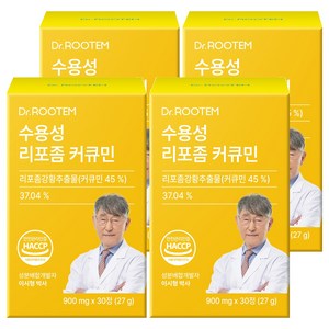 닥터루템 정품 수용성 리포좀 커큐민 27g, 30정, 4개