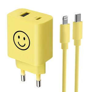 모잇 PD25W 2포트 PPS 초고속충전기 + 8핀 라이트닝 아이폰 케이블 1.3m