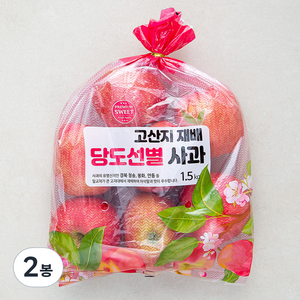 고산지 재배 당도선별 사과, 1.5kg(중과), 2봉