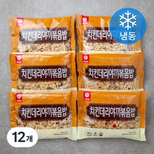 천일식품 치킨데리야끼 볶음밥2 (냉동), 300g, 12개