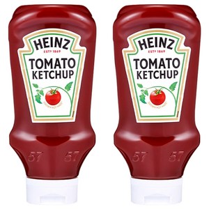 하인즈 토마토 케찹, 570g, 2개