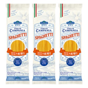 폰타나 이탈리아 캄파니아 스파게티, 500g, 3개