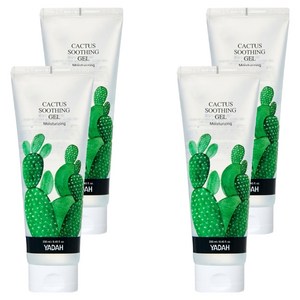 야다 선인장수딩젤, 250ml, 4개