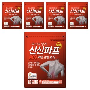 신신제약 신신파프 HOT 파스, 5개입, 5개