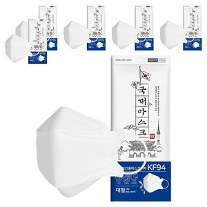 황사 미세먼지 국대마스크 대형 KF94, 5개입, 흰색, 6개