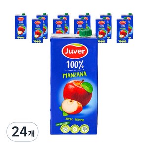 [쿠팡수입] 후버 사과주스, 1L, 24개