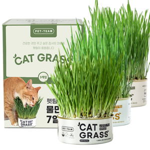 펫팀 고양이 캣그라스 간식, 혼합맛(새싹보리/새..., 35g, 3개