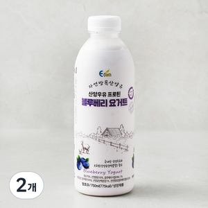 이담 산양우유 프로틴 블루베리 요거트, 750ml, 1개입, 2개
