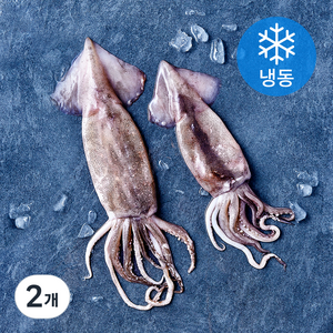 비비수산 살아있을때 깔끔하게 손질한 통오징어 (냉동)