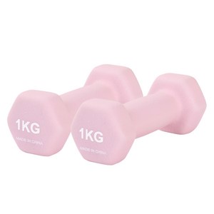 리브스포 논슬립 아령, 1kg, 2개