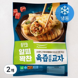 풀무원 얄피꽉찬 육즙 진한 교자 (냉동), 1.32kg, 2개