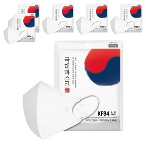 황사 미세먼지 국대마스크 소형 KF94, 5개입, 흰색, 6개