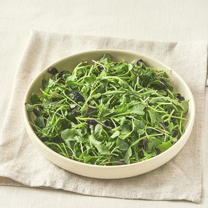 유기농 베이비채소, 100g, 1개