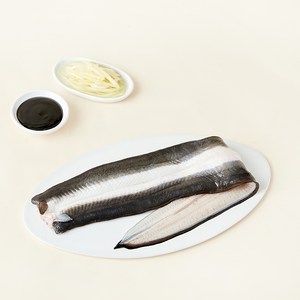 산지직송 무항생제 국내산 손질 민물장어 (냉장), 300g, 1개