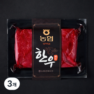 농협 한우 1등급 육전용 (냉장), 3개, 300g