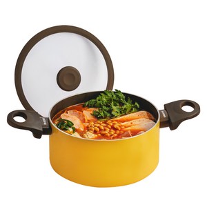 닥터하우스 인덕션 글로우 양수냄비, 20cm, 1개