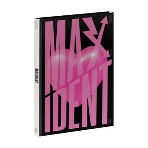 스트레이 키즈 - MAXIDENT [T-CRUSH ve. / HEART ve.] 일반반 버전랜덤 발송 포스터 없음1CD, 1CD