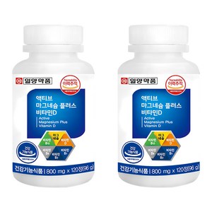일양약품 액티브 마그네슘 플러스 비타민D, 120정, 96g, 2개