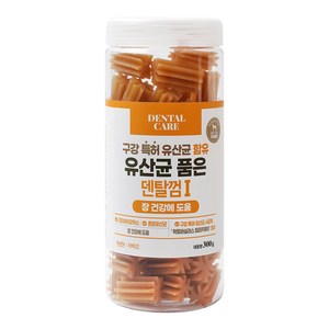 라피끄 강아지 유산균 품은 덴탈껌, 장 건강, 300g, 1개