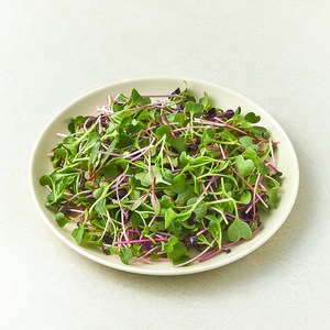 친환경 어린잎 채소, 500g, 1개