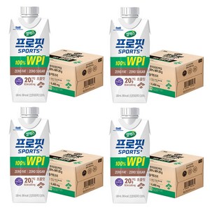 셀렉스 프로핏 스포츠 초콜릿, 330ml, 48개