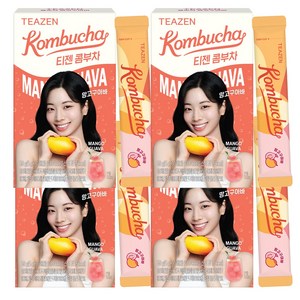 티젠 콤부차 망고구아바