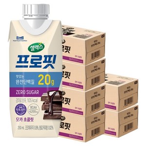 셀렉스 프로핏 모카 초콜릿, 250ml, 108개