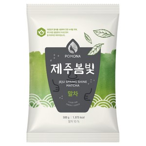 포모나 제주봄빛 말차 파우더