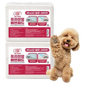 닥터파파 프리미엄 배변패드 29g, 45 x 60 cm, 100개입, 2개
