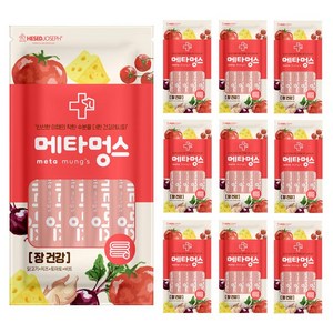 메타멍스 강아지 츄르 장 건강, 닭, 75g, 10개