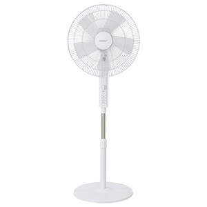 델라이프 스탠드형 선풍기