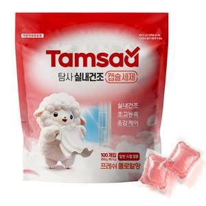 탐사 초고농축 실내건조 캡슐세제 플로럴향, 100개입, 1개