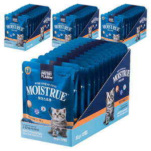 동원뉴트리플랜 고양이 모이스트루 주식파우치, 닭+참치, 80g, 48개