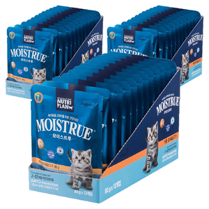 동원뉴트리플랜 고양이 모이스트루 주식파우치, 닭+참치, 80g, 36개