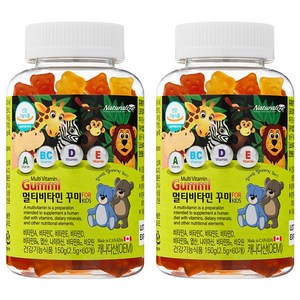 네추럴라이즈 멀티비타민 꾸미, 60정, 2개