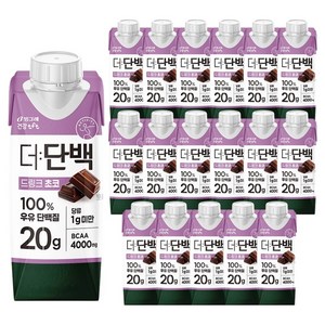 더단백 드링크 초코, 250ml, 18개