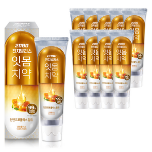 2080 진지발리스 프로폴리스 치약, 150g, 10개