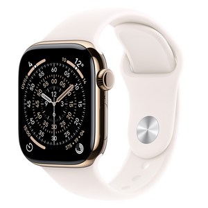 Apple 2025 애플워치 11