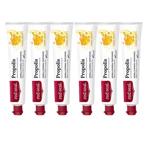레드씰 프로폴리스 치약, 100g, 6개