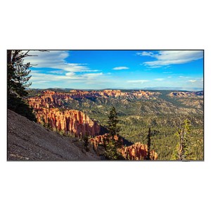 삼성전자 4K UHD QLED TV, 247cm(98인치), KQ98QC88AFXKR, 벽걸이형, 방문설치