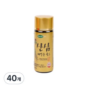 한미헬스 산삼배양근 골드 건강음료, 100ml, 40개