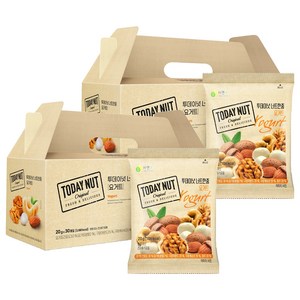 투데이넛 너트한줌 요거트 견과세트 600g, 2세트