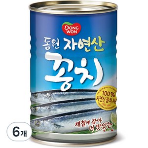 동원 자연산 꽁치, 400g, 6개