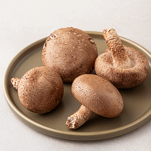 국내산 표고버섯, 100g, 1개
