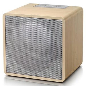 브리츠 FM라디오 블루투스 스피커