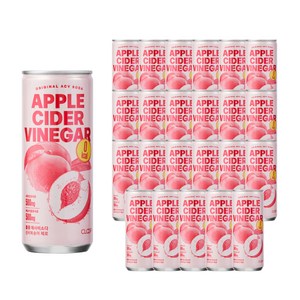 클룹 애사비소다 신비복숭아 제로 탄산음료