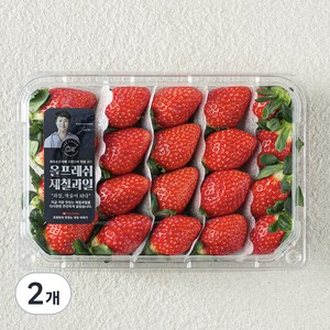 올프레시 GAP 한단 금실 딸기, 500g, 2개