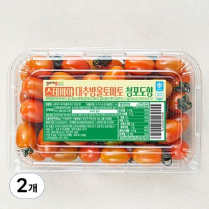 곰곰 스테비아 대추방울토마토 청포도향, 1kg, 2개